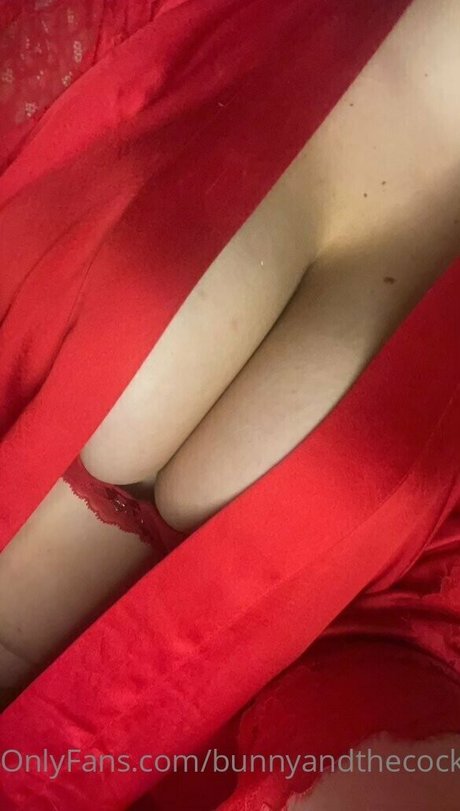 Bunny And The Cock