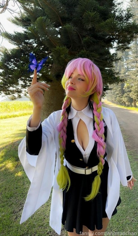 Animaechan