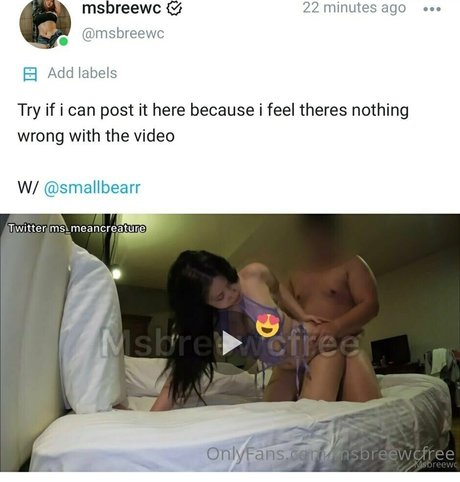 Msbreewcfree