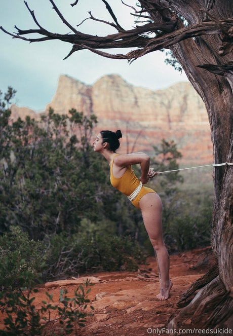 Reedsuicide