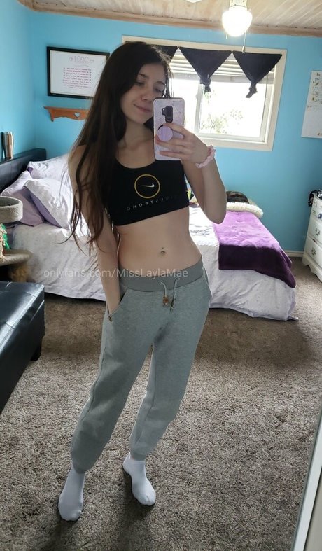Misslaylamae
