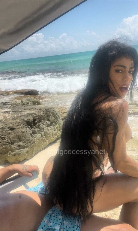 Yanet