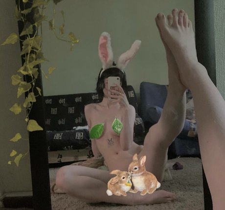 Fluffyfulafel