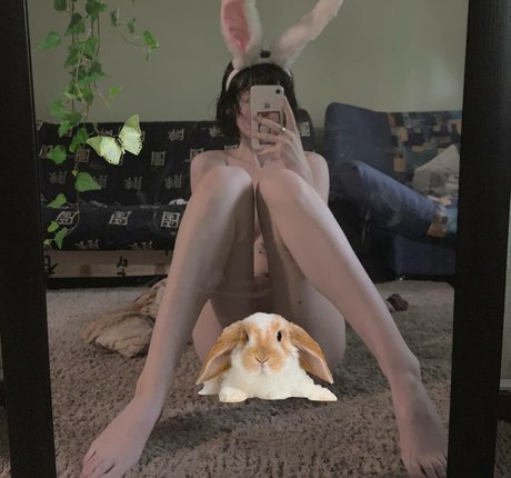 Fluffyfulafel