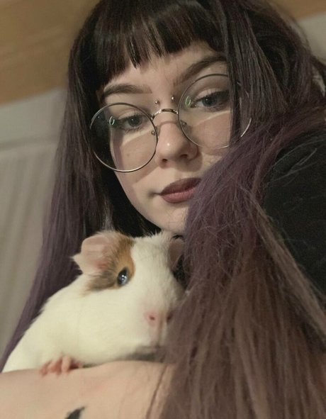 Fluffyfulafel