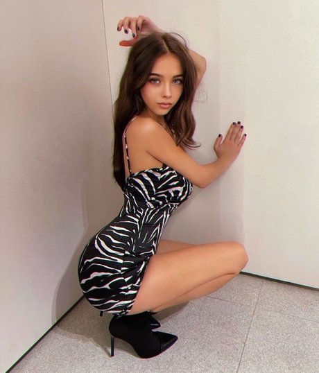 Bambilexy