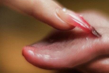 Nahá fotka uniklých OnlyFans od Lolawoo