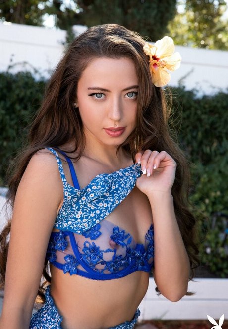 Lauryn Wolfe