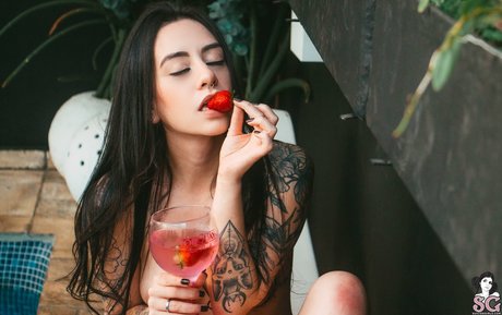 Janis Vitti