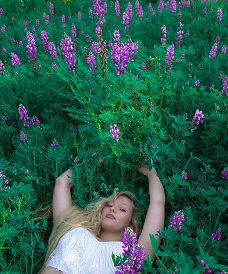 Amethystfaymusic