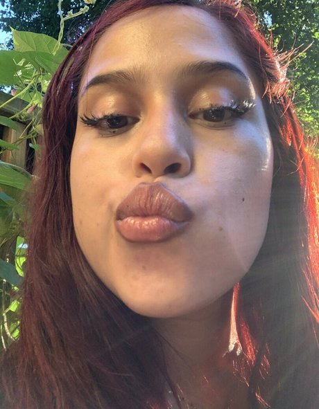Lamoneydiosa