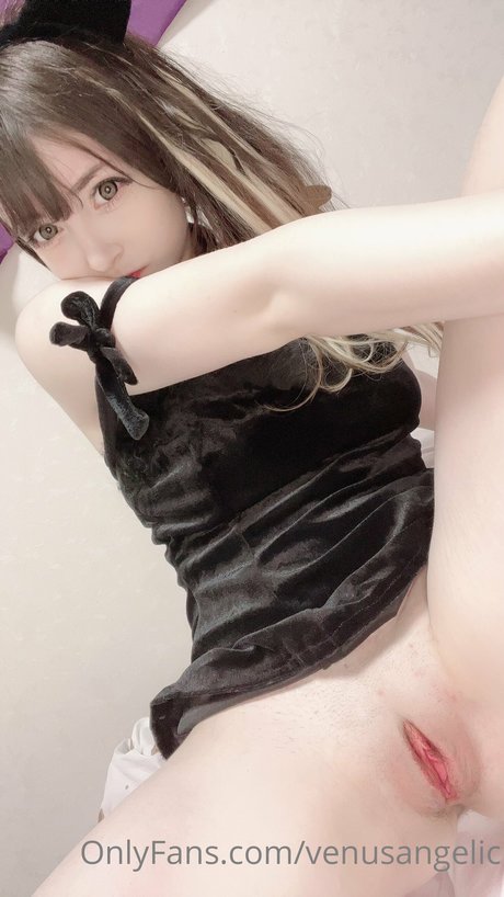 Venus Angelic
