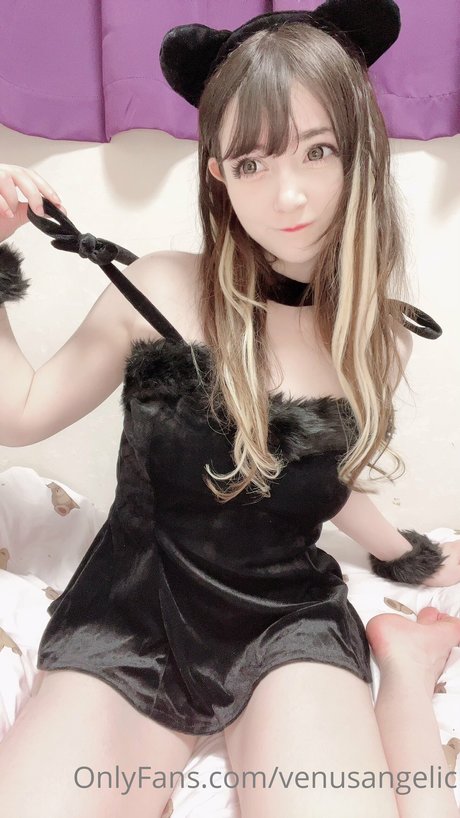 Venus Angelic