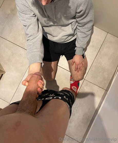 Viktorromvip