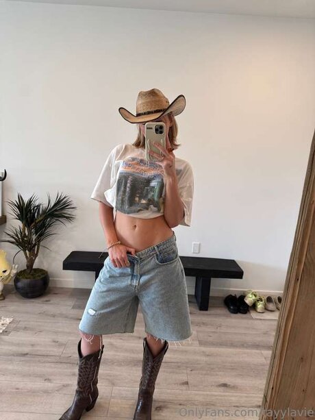 Tayylavie