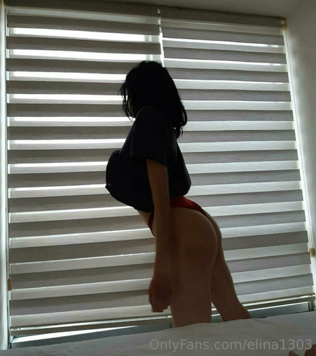 Elina1303