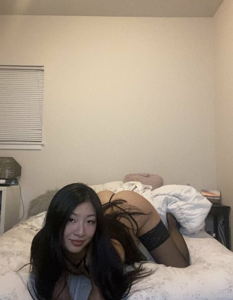 Asianonrice