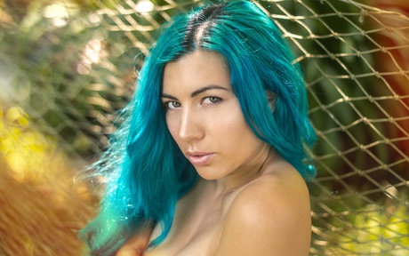 Livay D Punk