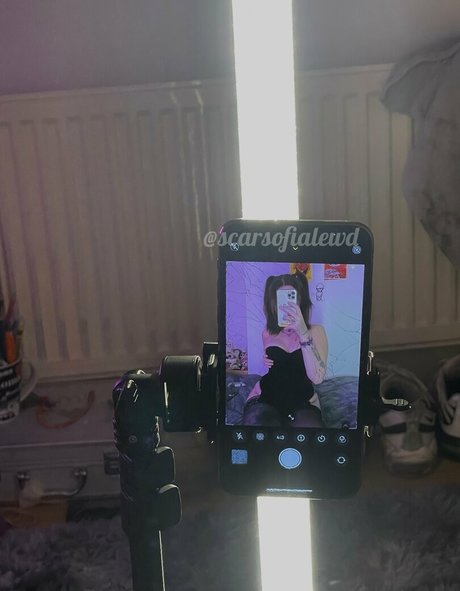 Scarsofialewd