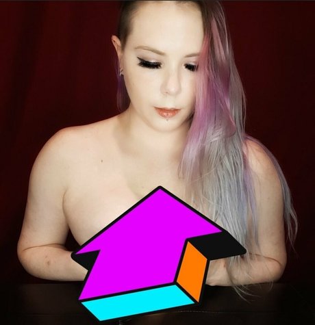 Quinntaylorfree