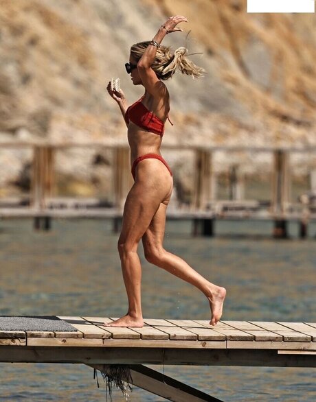 Sylvie Meis