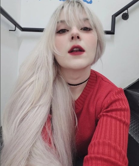 Lauratavora