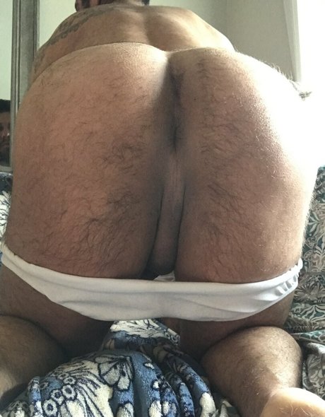 Briefsbull