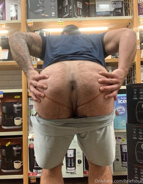 Briefsbull