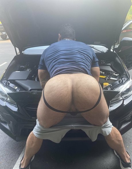 Briefsbull