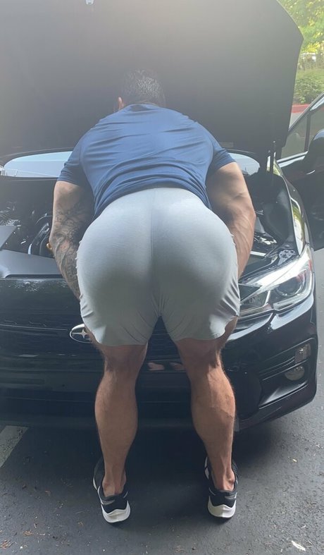 Briefsbull