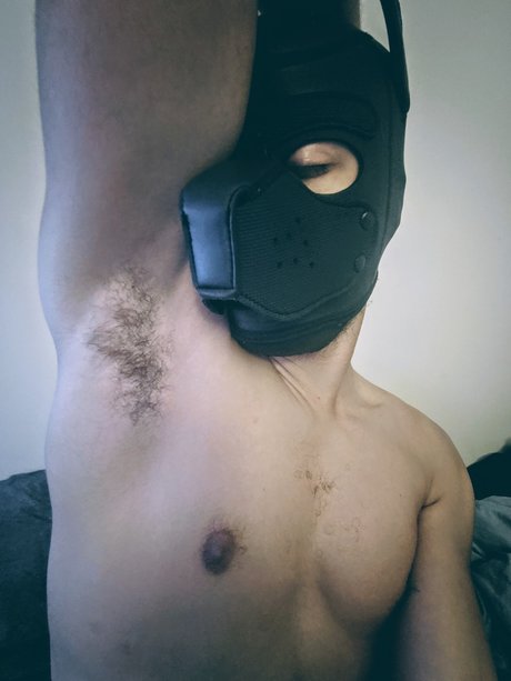 Pup Beaux Blac