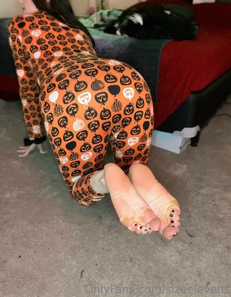 Sizeelevens