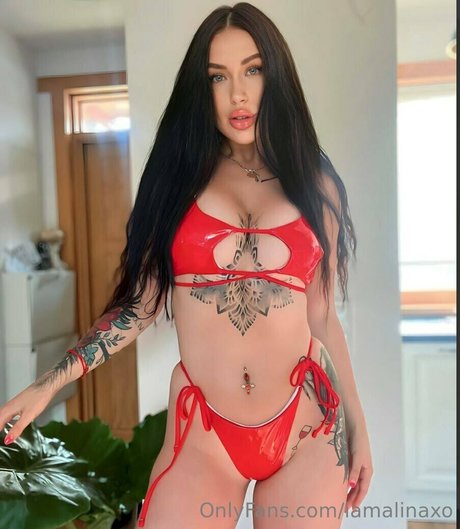 Iamalinaxo