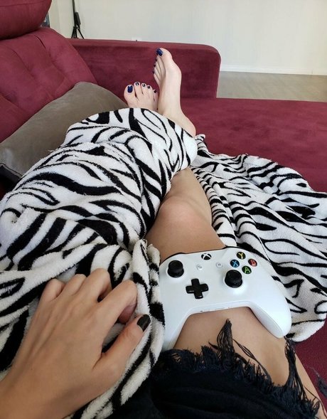 Sofialutfree