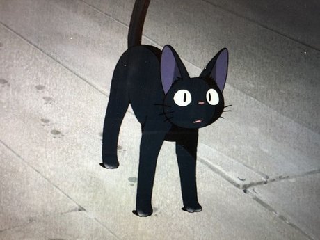Kat