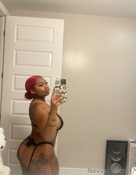 Nevvycakes