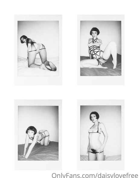 Daisylovefree