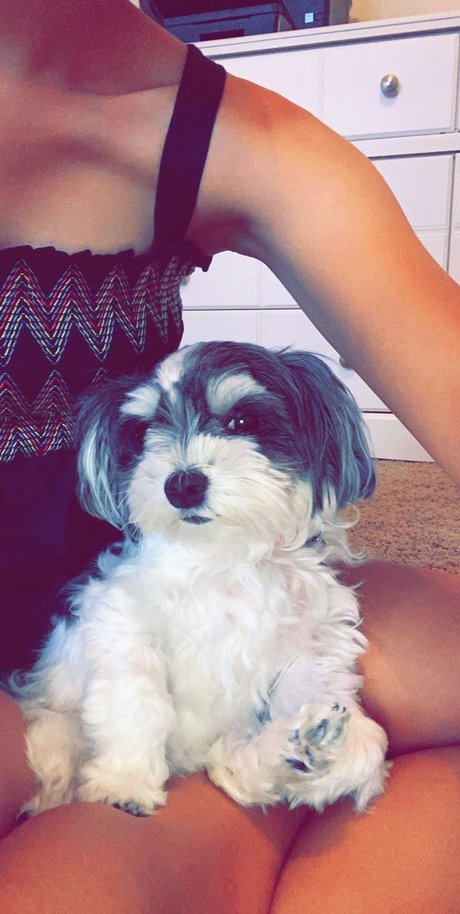 Molly Morkie