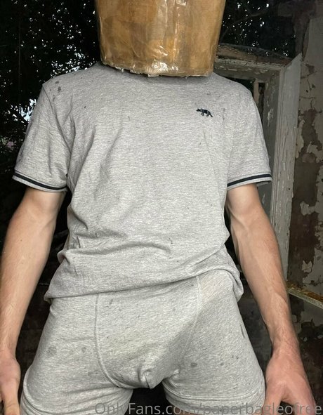Paperbagfree