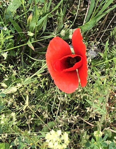 Alaston vuotanut OnlyFans-kuva Femdomyou
