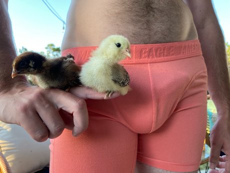 Обнаженная фотография утечки OnlyFans от Only Chicken Fans