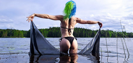 Siipirikkofree