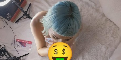 Kittykassfree