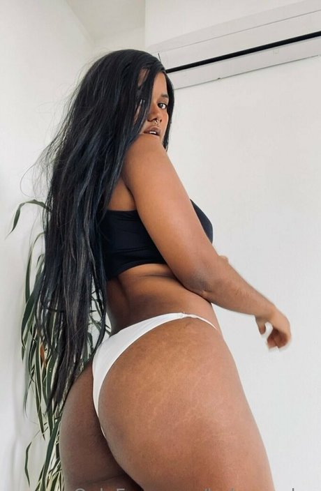 Zadaayamor