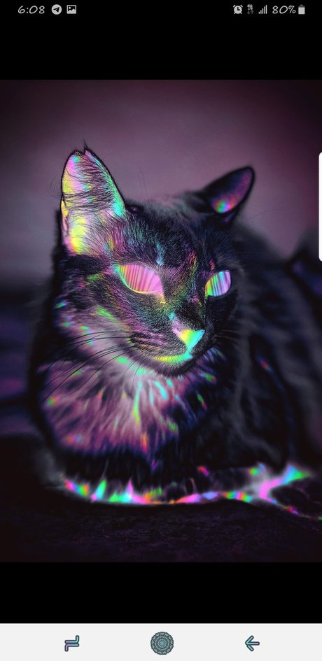 Calli