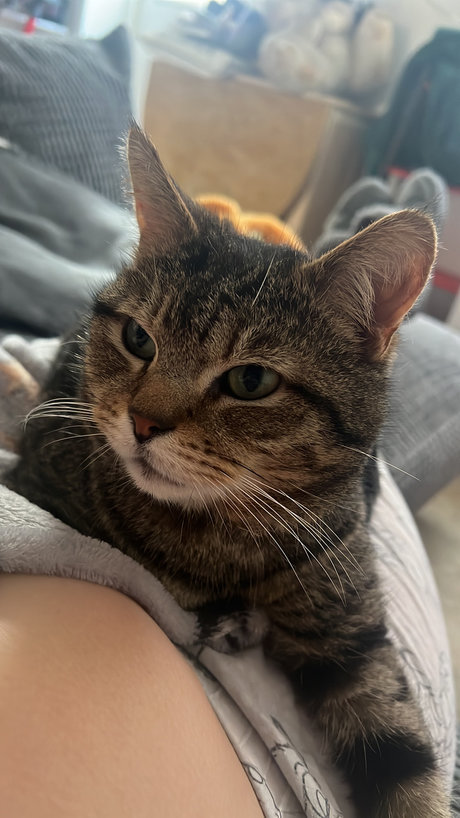 Naken läckt OnlyFans-bild av Redhairedkitten