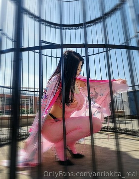 Foto desnuda filtrada de OnlyFans de Anriokitareal
