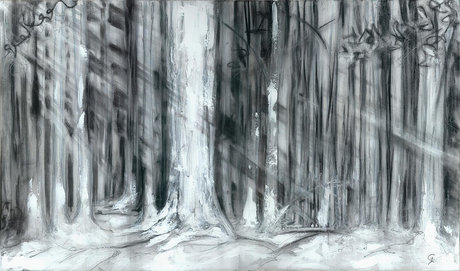 Mary Allinder