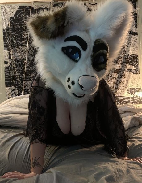Saoirsemutt