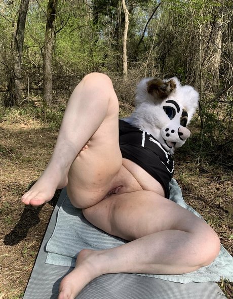 Saoirsemutt